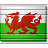 Flag Wales Icon 48x48